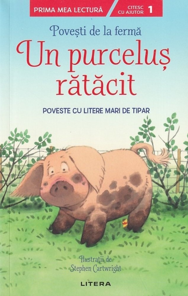 heather amery un purcelus ratacit litera